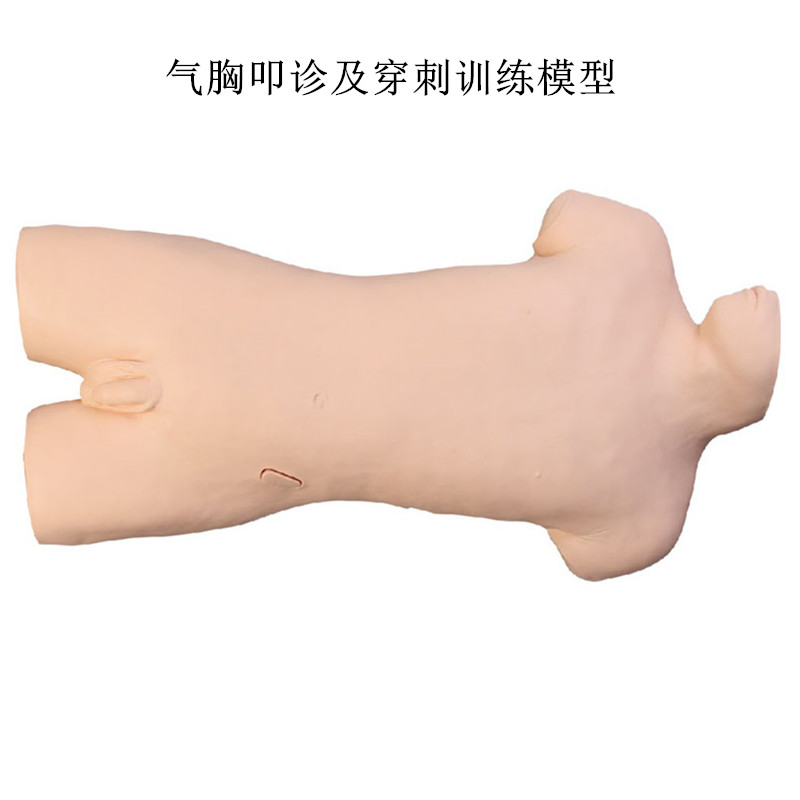 气胸叩诊及穿刺训练模型