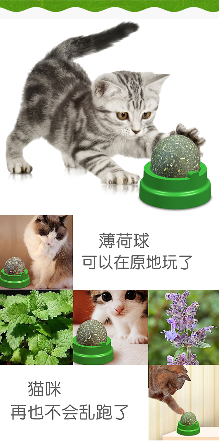 0001-detail page_02.png