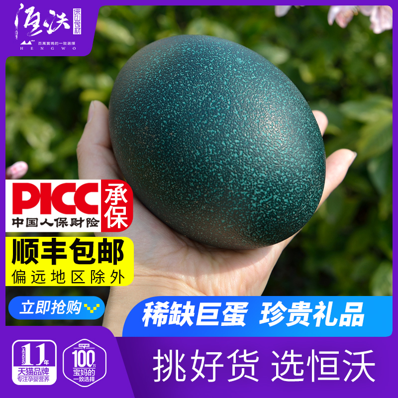 Year Goods Festival Gift Boutique Emu Egg Giant Fresh Australian Big Ostrich Eggs Eat to Lead Spring Festival New Year's gift