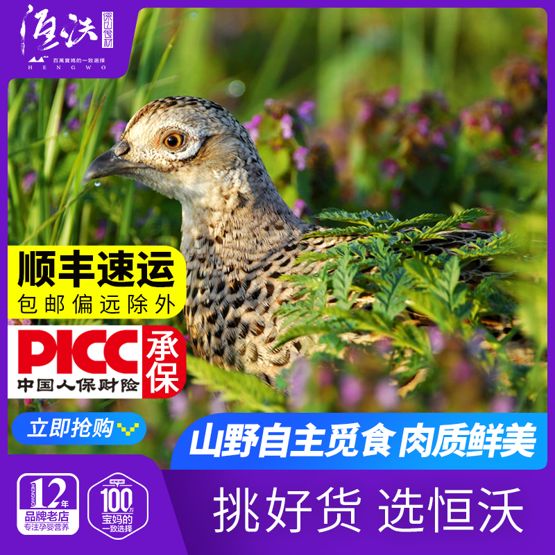 Hengfengyuan Colorful Pheasant Mountain Free-range Farmhouse Free-range Pheasant Delicious Pheasant No Live Chicken Hens for the time being