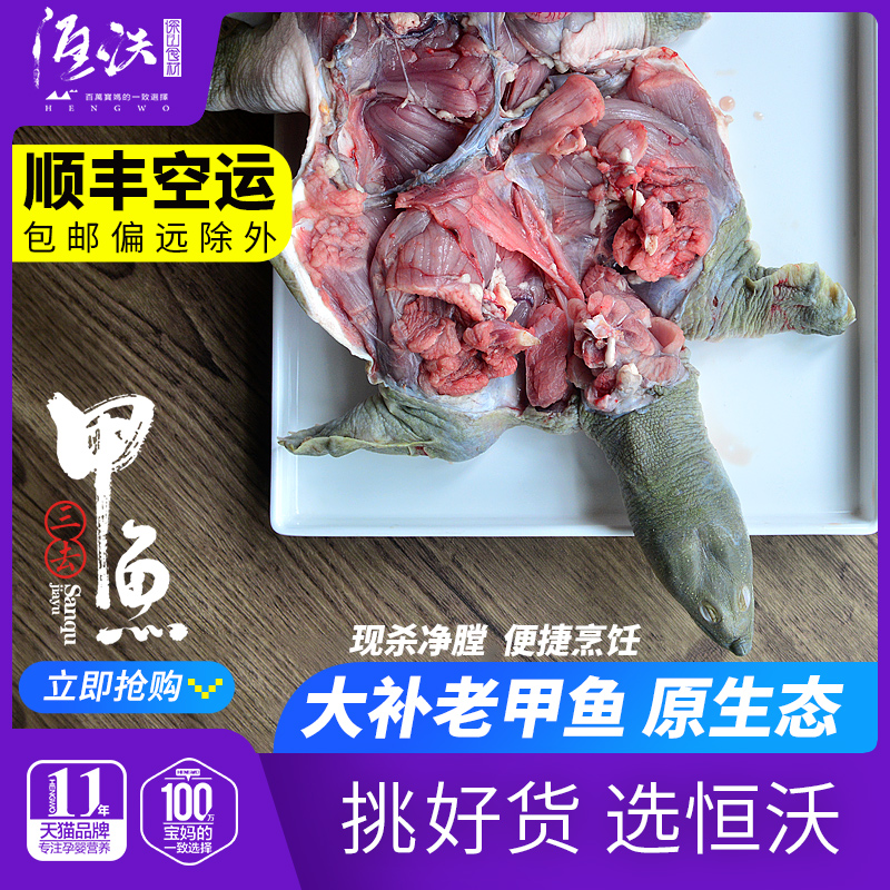 Three-to-a-fish group fish 5-year-old turtle living king 8-China turtle net-bore handling