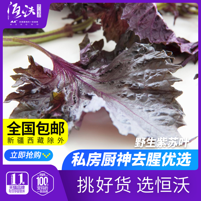 Deep mountain perilla dried farmhouse directly pick new goods 2 parts perilla fried snail kitchen god to fishy perilla leaves