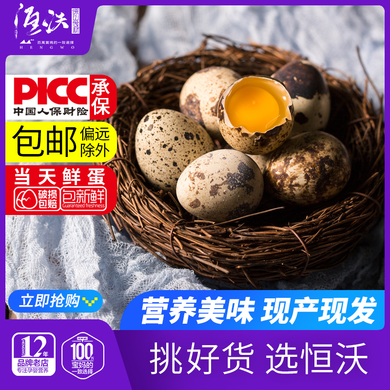 25 pieces of raw quail eggs are freshly produced and found in the mountains.