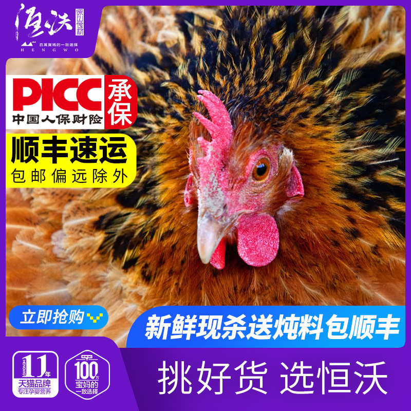 Hengfengyuan Farmhouse Chickens Free-range fresh old hens Nutritious chickens delivered in mountainous areas