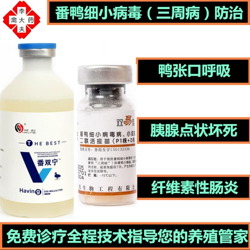 Утка вентилятора утка маленький вирус маленький гусь чума вакцина против эрксиасин