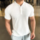 春夏季健身短袖POLO衫男潮牌宽松翻领T恤男士针织时尚纹理保罗衫