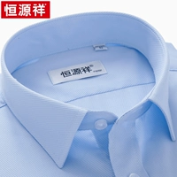 С короткими рукавами 05832 Blue Twill