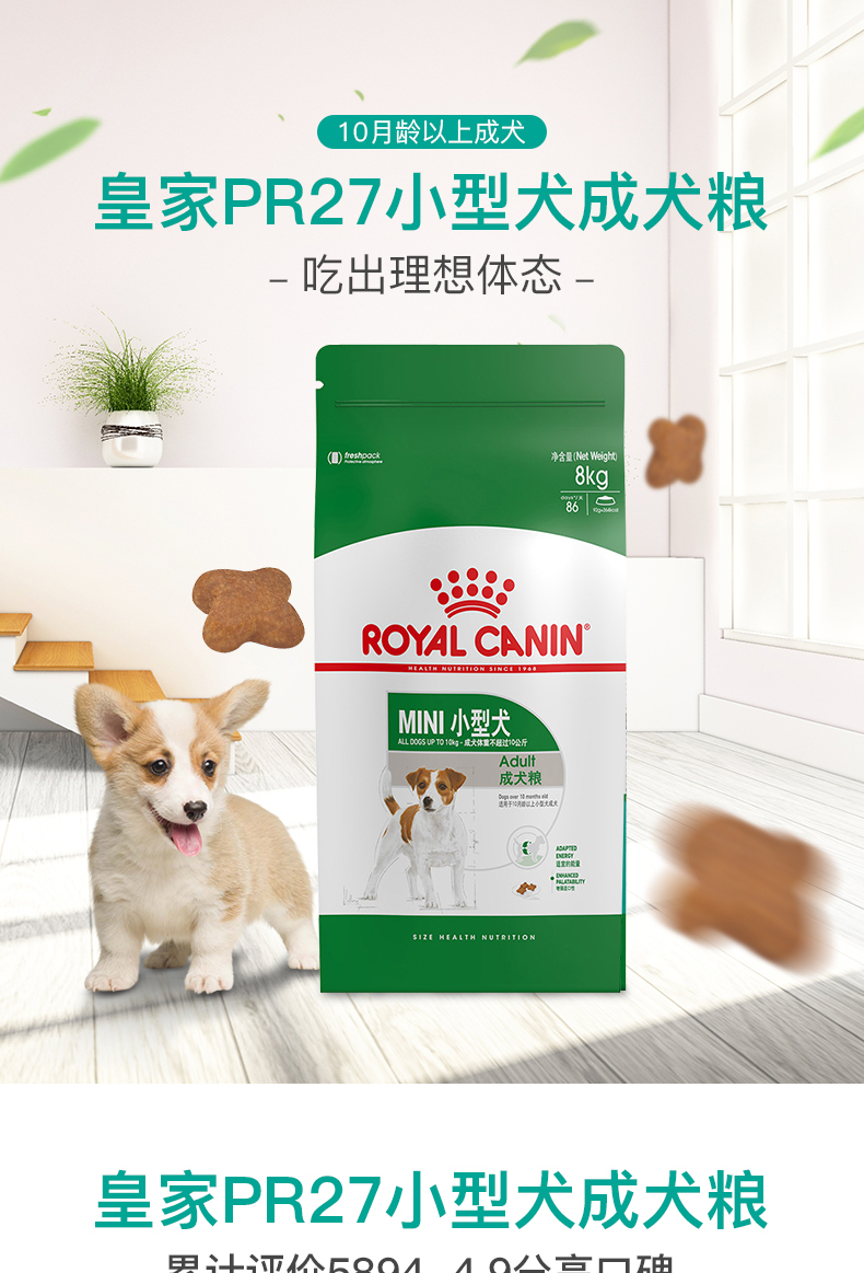 Poccinet Chó Hoàng gia Pháp Thức ăn cho chó nhỏ Chó trưởng thành Thức ăn 8kgPR27 比 熊 泰迪 Chó trưởng thành phổ quát - Chó Staples do an cho cho