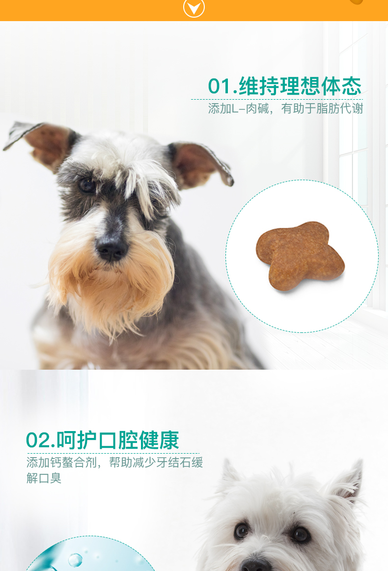 Poccinet Chó Hoàng gia Pháp Thức ăn cho chó nhỏ Chó trưởng thành Thức ăn 8kgPR27 比 熊 泰迪 Chó trưởng thành phổ quát - Chó Staples do an cho cho