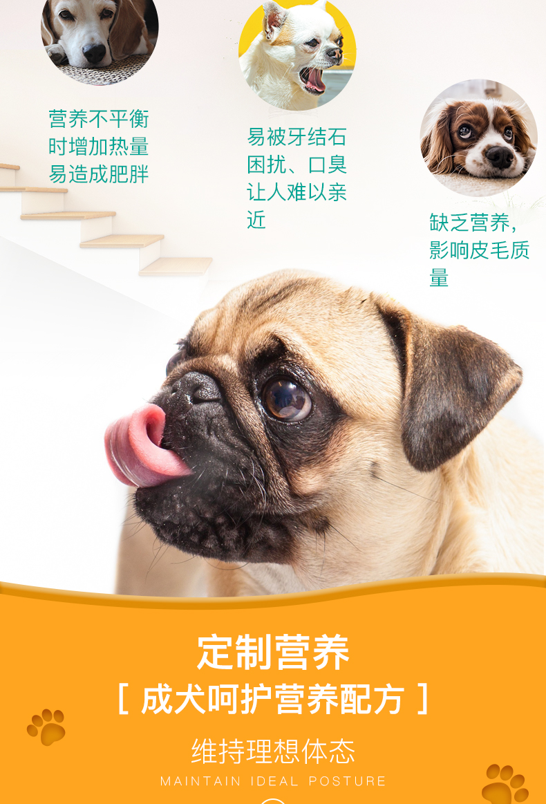 Pocci Net Pet Dog Thức ăn Pháp Royal PR27 Chó nhỏ Chó trưởng thành Thức ăn 2kg Teddy Dog Thức ăn cho chó trưởng thành - Chó Staples thức an cho chó giá rẻ