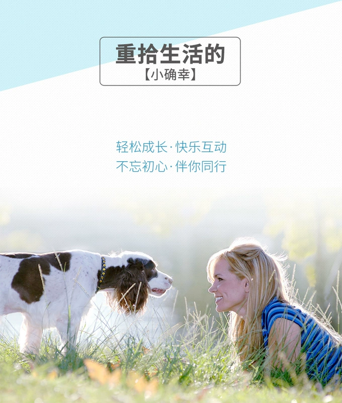 Boqi Net Viscon Chelated Trace Element Viên vitamin tổng hợp 160 viên cho chó và mèo có bổ sung thực phẩm chống ngoại - Cat / Dog Health bổ sung
