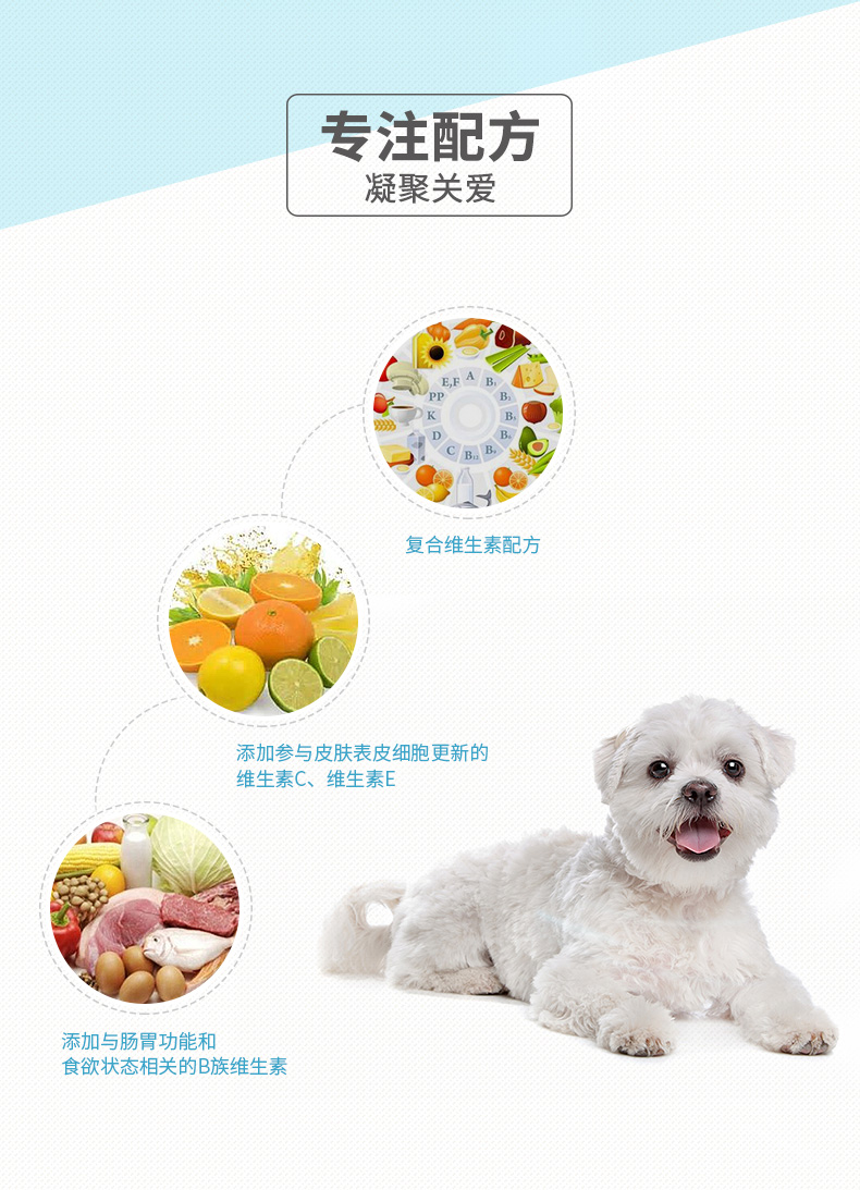 Pocci Net Wisconsin Vitamin Viên nén 200 viên / chai cho mèo và chó với Vitamin Teddy Golden Hair Dinh dưỡng - Cat / Dog Health bổ sung Sữa cho mèo trưởng thành