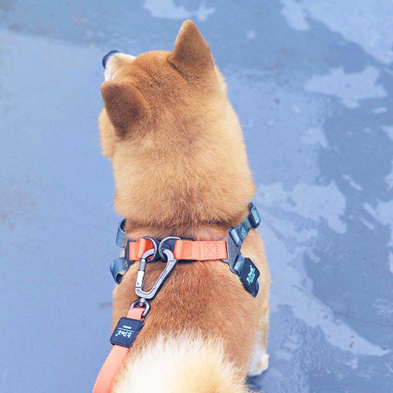 IS PET Lightweight Printing Pet Supplies Dog Harness Small Dog Leash Dog Chain Dog Walking Rope