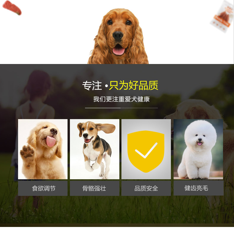 波奇 Được ưa chuộng nhất là món thịt gà hầm xương Teddy chú chó VIP dính răng sạch xương 100g đồ ăn nhẹ cho chó - Đồ ăn vặt cho chó thức ăn cho chó giá rẻ