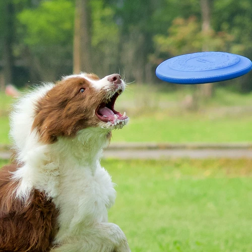 Pochi.com Pet поставляет Kyjen Cool Love Breez