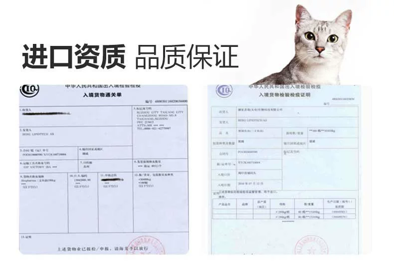 Boqi Net Supreme Cat sử dụng dầu cá hồi cô đặc biển sâu 20 viên nang tóc đẹp để nuôi dưỡng nang tóc để ngăn ngừa rụng tóc - Cat / Dog Health bổ sung