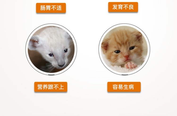 Pocci Net Red Dog Kem miễn dịch Kem Vitamin Puppy Dog Cat Cat Bổ sung Fatten Cat Dinh dưỡng - Cat / Dog Health bổ sung sữa cho mèo con
