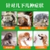 Thú cưng nhỏ chó tiêu hóa kho báu bột sinh học điều hòa đường tiêu hóa Teddy Golden Retriever đặc biệt nôn chó mèo với 10 bao bì - Cat / Dog Health bổ sung