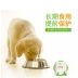 Boqi net thú nhỏ khớp Kang 10 gói chó mèo sửa chữa khớp xương bảo vệ xương khớp chondroitin - Cat / Dog Health bổ sung