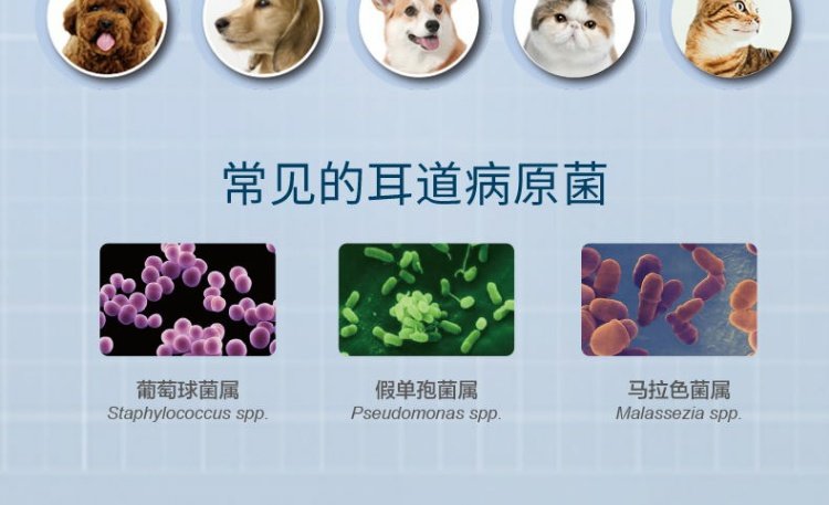 波奇 网 France Vic dog dog ear ear cleaner 125ml thế hệ thứ ba rửa tai cho chó - Cat / Dog Health bổ sung sữa cho chó con rẻ