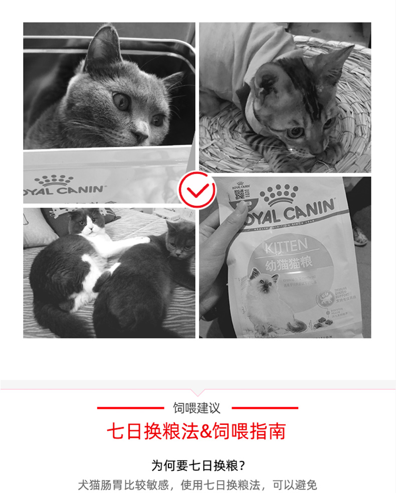 021猫咪最喜爱的猫粮"/