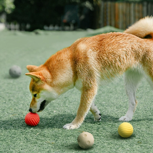 Pidan Dog Toy Pitch, укусить зубы, утечка собаки, нечистый артефакт, игрушки для головоломки собак