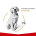 Pocci Net Pet Dog Food Pháp Royal Dog Food Labrador Dog Dog Food 12kg Labrador Dog Food - Chó Staples thức ăn cho chó con 2 tháng tuổi Chó Staples