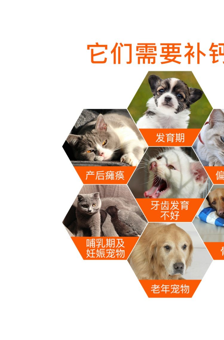 网 peptide bột kem canxi Labrador hơn sức khỏe của xương - Cat / Dog Health bổ sung sữa cho mèo mới đẻ