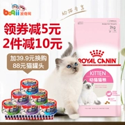 Pocci net cát thực phẩm hoàng gia mèo thực phẩm kitten K36 mang thai cho con bú mẹ mèo thực phẩm 2 kg kitten mèo thực phẩm mèo staple thực phẩm