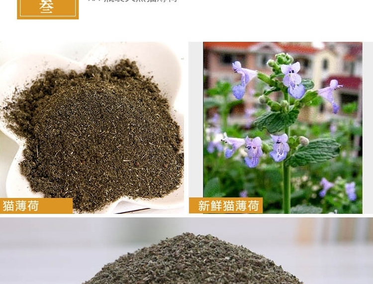 波奇 网 AFP Chai cỏ mèo tự nhiên AFP 25g bóng làm rụng lông giúp mèo tiêu hóa ăn vặt thú cưng - Đồ ăn nhẹ cho mèo cám mèo