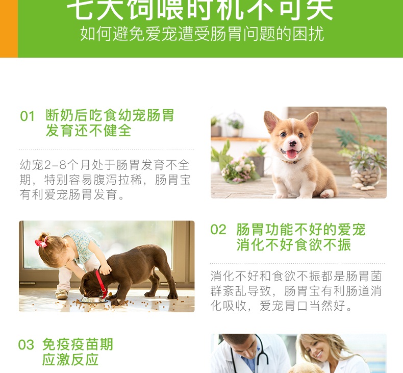 波奇 Chế phẩm sinh học thú cưng nhỏ EHD Kho báu đường tiêu hóa 5g * 5 gói men mèo và chó điều hòa dạ dày chó tiêu chảy - Cat / Dog Health bổ sung Sữa cho chó con giá rẻ