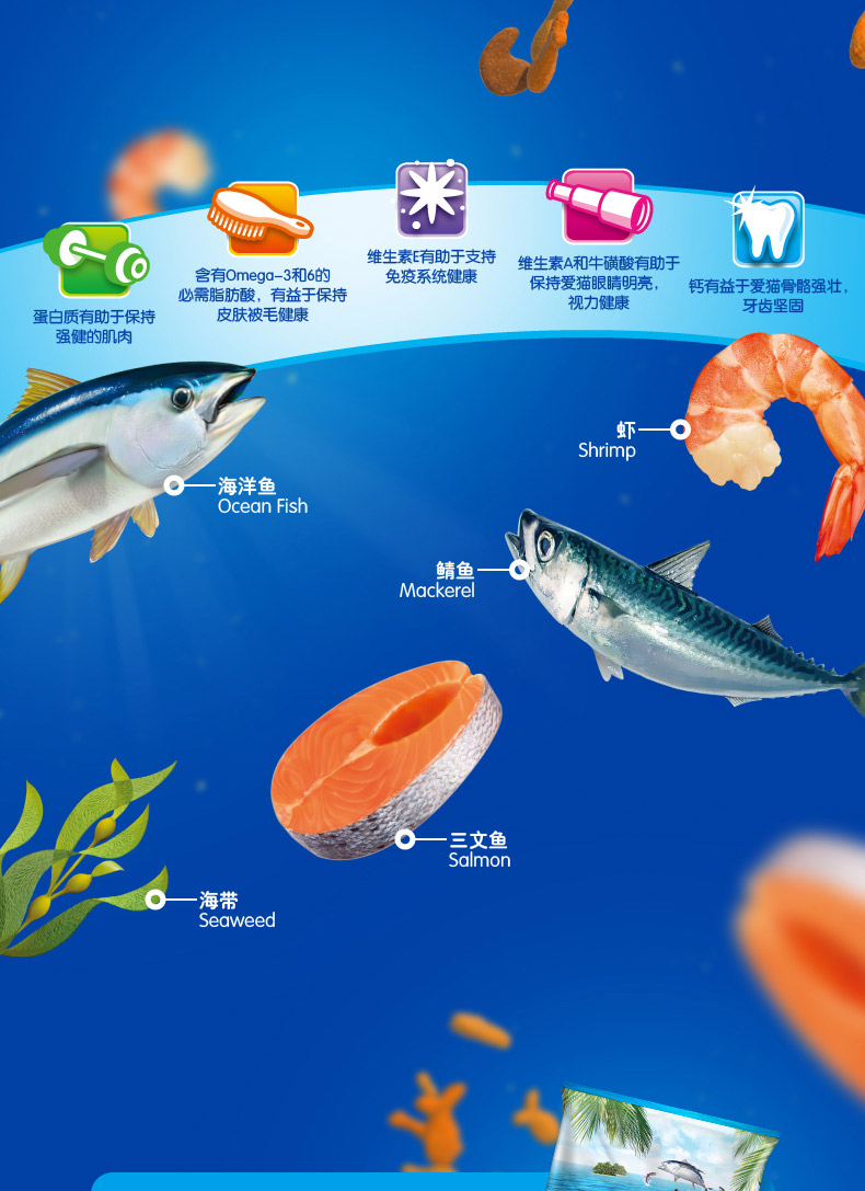 波奇 网 宠物 食品 喜 跃 成 猫 全 价 猫粮 海鲜 kg 10kg 折 耳 猫 成 猫粮 25 省 - Cat Staples thức ăn của mèo