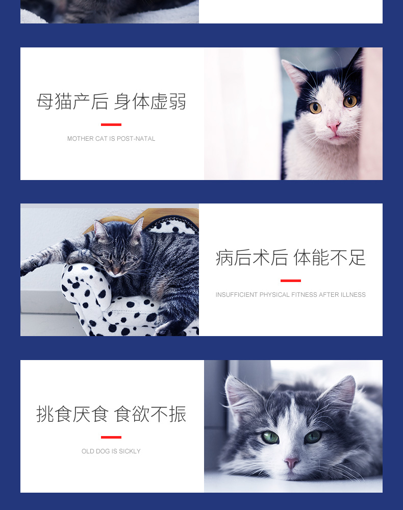 网 Mèo Wiscon 120,5g mèo Ba Tư cho mèo nhỏ nhổ kem dưỡng tóc vitamin bóng - Cat / Dog Health bổ sung sữa bio cho mèo