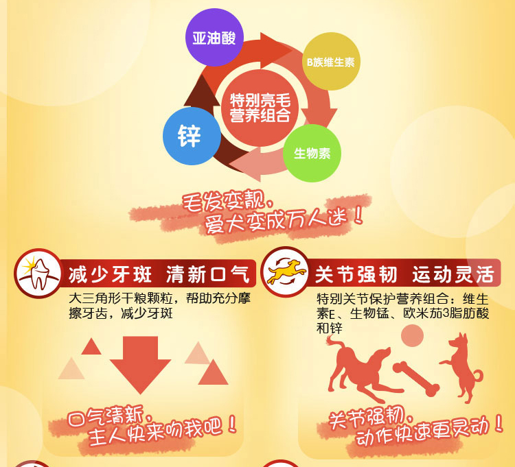 Boqi Wangbao Road Dog Food Thịt bò Thịt gà Rau Chó lớn Chó thức ăn cho chó 1,8kg Thức ăn cho chó Loại chung dành cho người lớn Thức ăn cho chó - Chó Staples thuc an cho cho