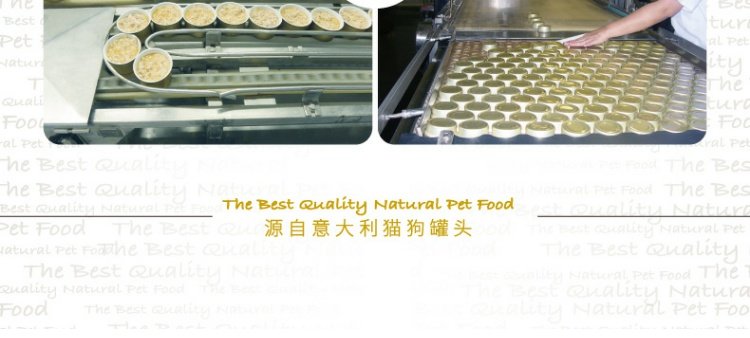Pocci Net Pet Snacks Snow Shiya Gà gà tự nhiên Súp gà Nhiều hương vị Mèo đóng hộp 70g Thức ăn ướt cho mèo - Đồ ăn nhẹ cho mèo royal canin cho mèo con