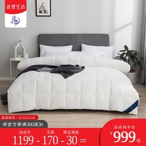 Yuanmeng home textile duvet 90 white duck down quilt two-in-one double quilt winter double quilt core