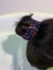 Douyin Internet Celebrity Bun Batepin Batedpin Adulto Temperamento Elegante Drinestona Accesorios para el cabello Cabello de cabello