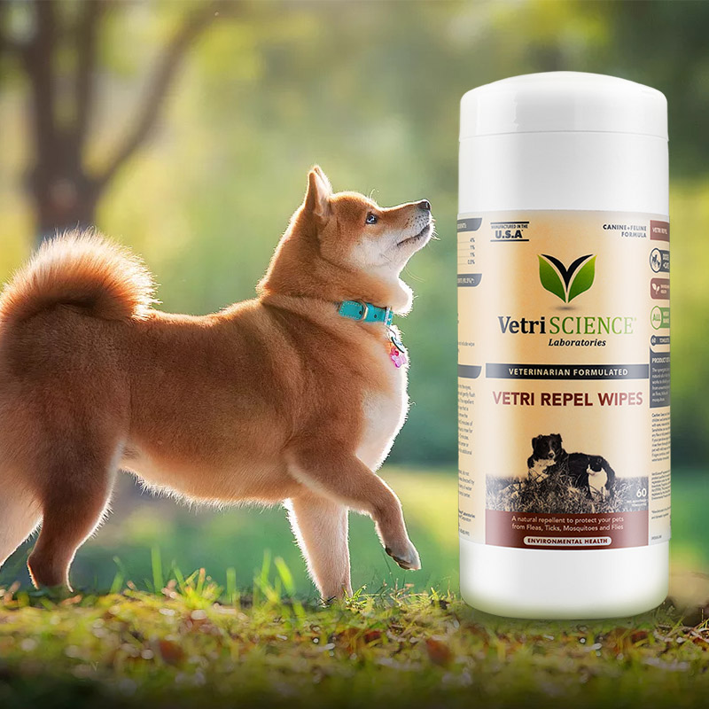 VetriScience 宠物大师 犬猫通用 除虱驱虫湿巾 60张 双重优惠折后￥9.5包邮包税史低