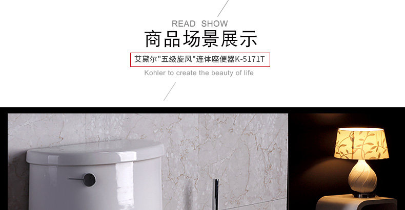 5171-toilet_22.jpg