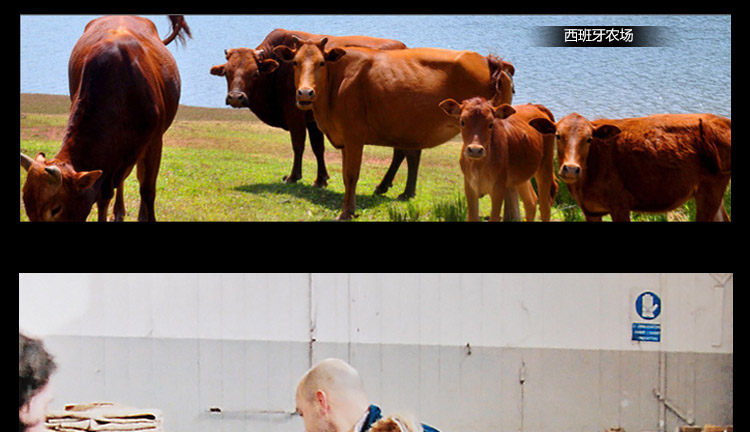 Sac pour homme - Ref 50011 Image 8