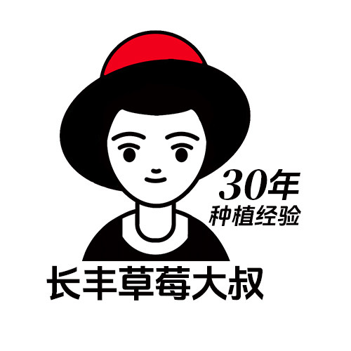长丰草莓园的LOGO