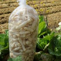 New bamboo fungus China Ningde City Fujian Province Yunnan fungus Rod pure Pole no skirt restaurant special hot pot restaurant