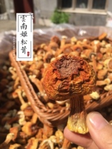 2021 New Yunnan specialty Agaricus matsutake dry goods selection of special wild pine fungus Brazilian mushroom 250g