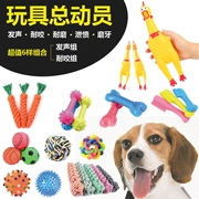 Dog toy Teddy VIP lớn vừa và nhỏ răng hàm cách âm cắn dây bóng mèo vật nuôi cung cấp đồ chơi bông bóng bông dây