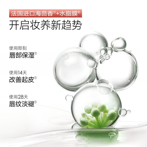 Carslan, эссенция, блеск для губ, уход за губами, зеркальный эффект