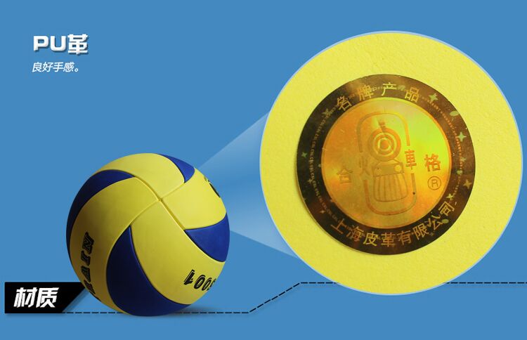 Ballon de volley-ball - Ref 2010128 Image 16