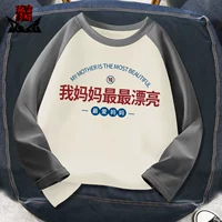 Серый абрикосовый тряпник с длинным рукавом