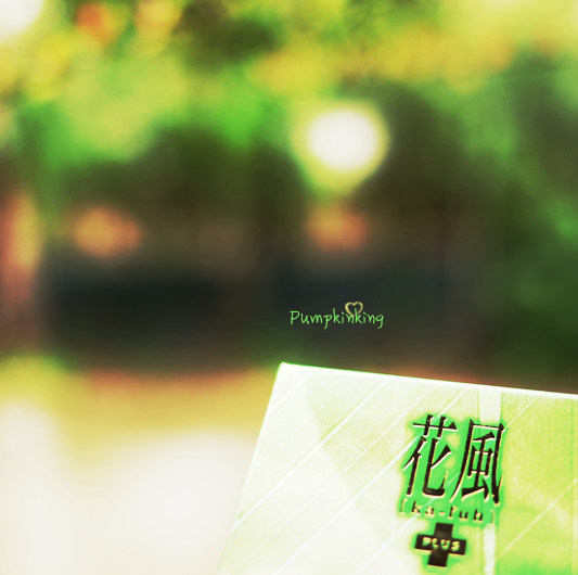 Melon Meow Fragrance Flower Mint Fresh Bamboo Charcoal Mint Smoky