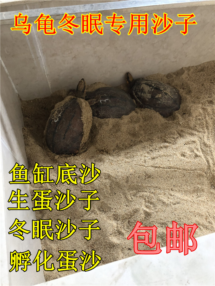 Turtle Sand Winter Sleeping Fine Sand Raw Egg Hatching Reptile Mat Material Natural Sea Sand Fish Tank Low Sand Bottom Sand Building Decoration
