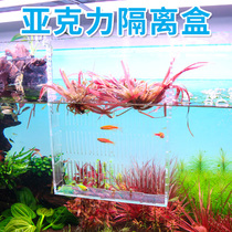 Wovelan breeding isolation box aquatic plant planting guppy mini parrot spawning acrylic incubator delivery room